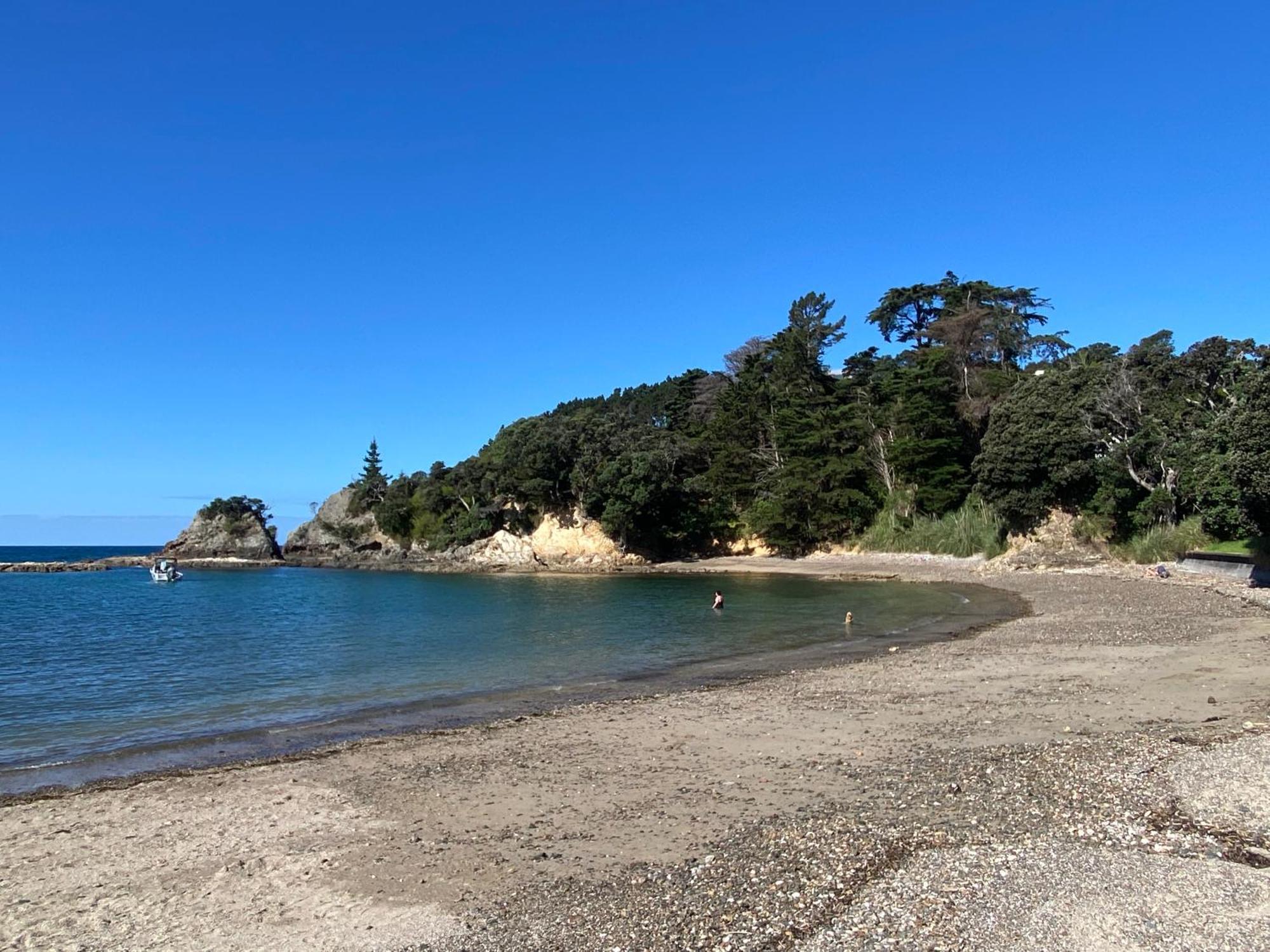 Kereru Cabin - Spectacular Seaviews, Rustic, Glamping Eco Adventure ปาล์มบีช ภายนอก รูปภาพ