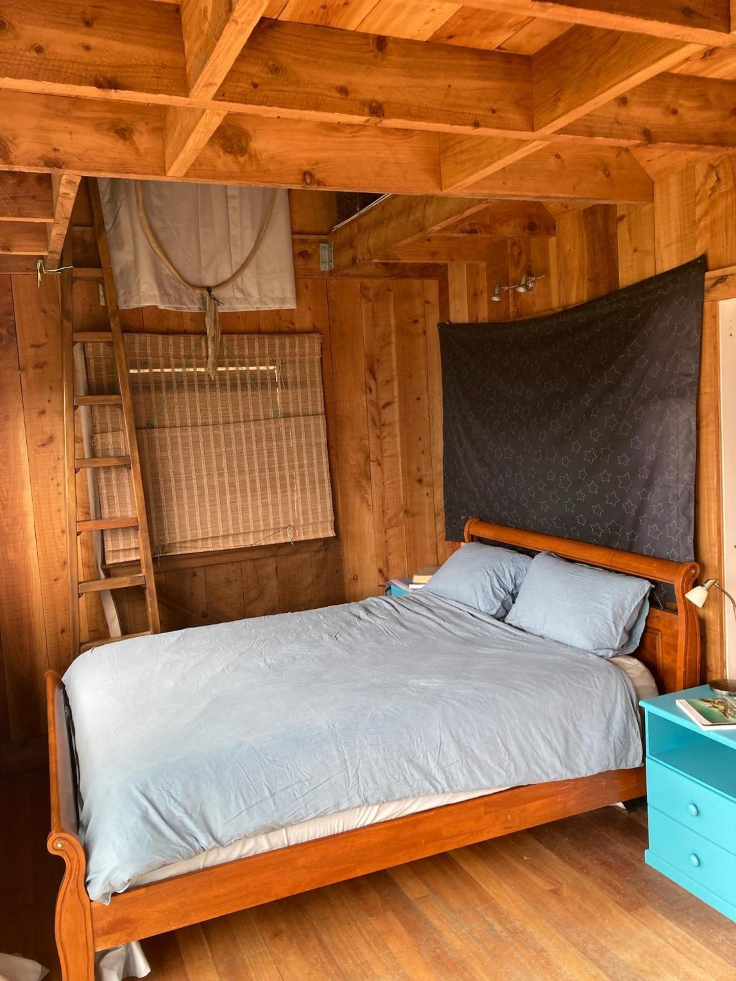 Kereru Cabin - Spectacular Seaviews, Rustic, Glamping Eco Adventure ปาล์มบีช ภายนอก รูปภาพ